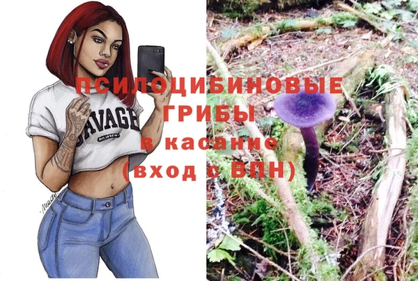 ешки Карпинск