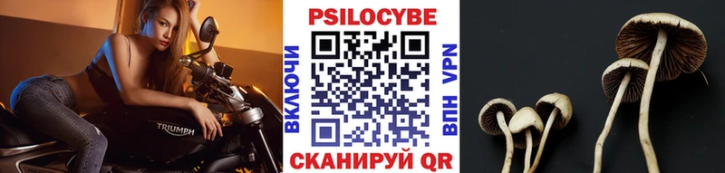 Псилоцибиновые грибы Magic Shrooms  Купить где  Ленск 